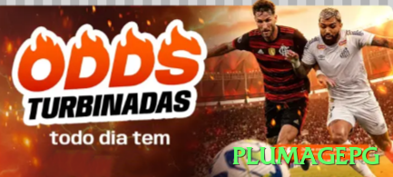 Como Funciona plumagepg? Guia Completo e Atualizado02 - plumagepg 🎰🌀 Baccarat road map spotting: siga padrões big road para apostas em streak — recuperação rápida em sequências longas! 📊🔥